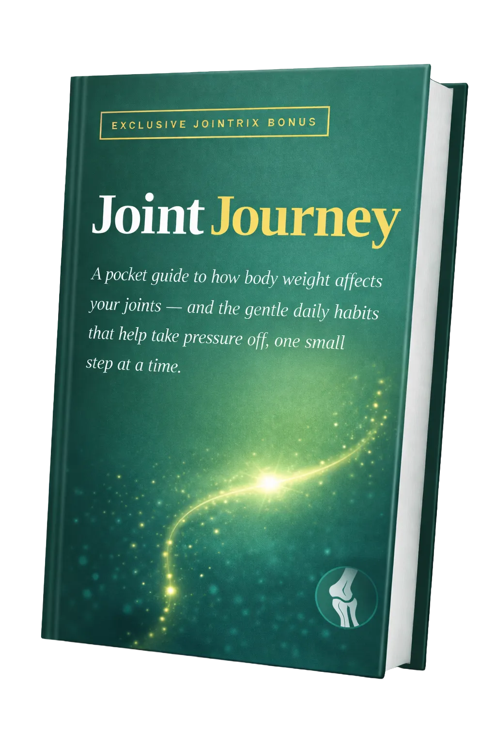 The Joint Journey ebook
